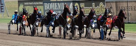 harness racing odds|Menangle Saturday Betting Odds .